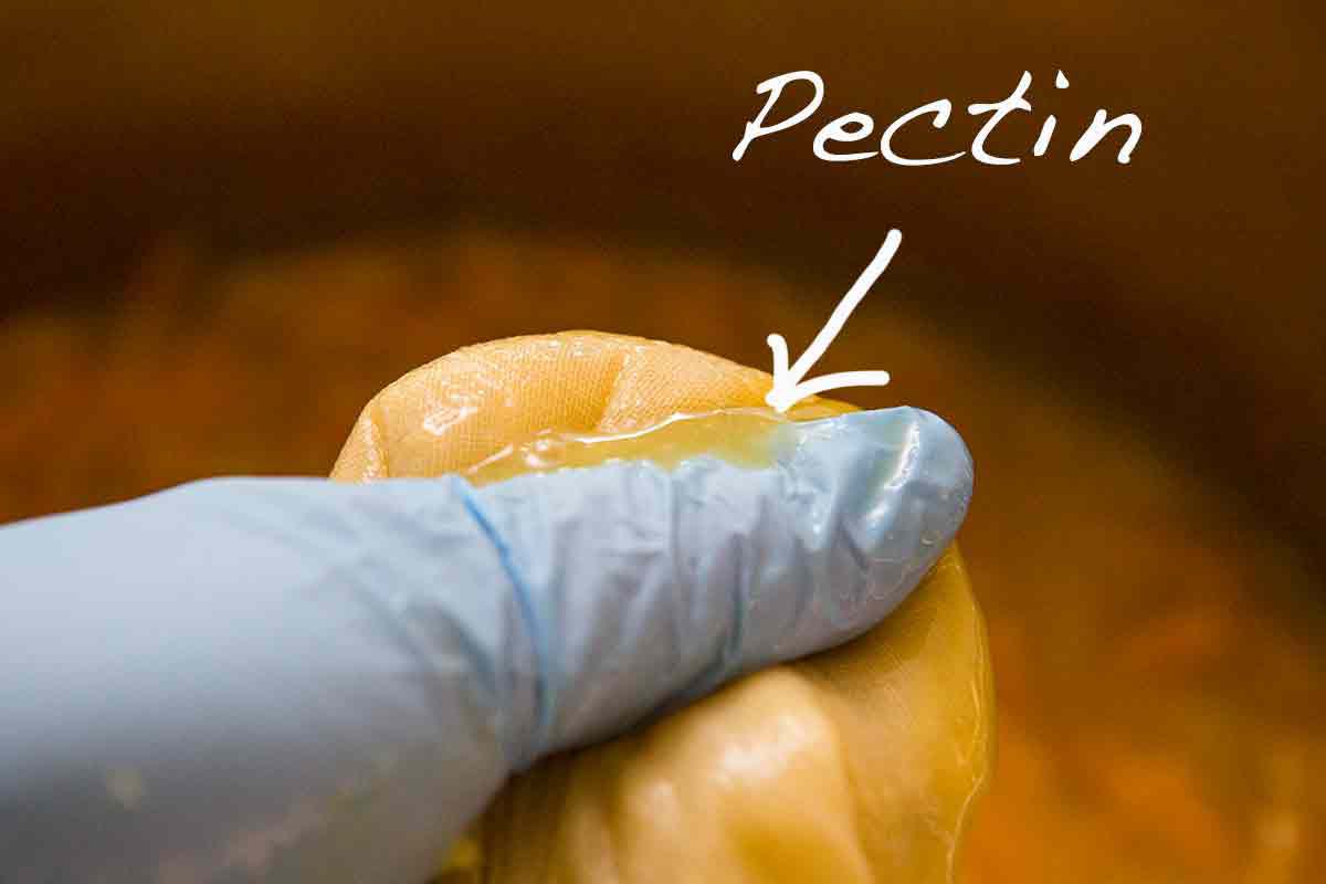 squeeze out the pectin