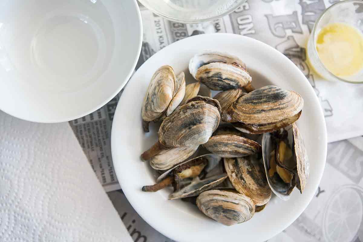 steamed clams or steamers served with butter 