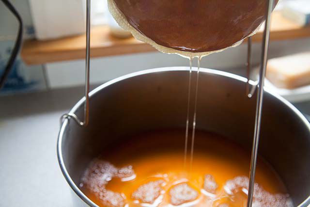 rose-hip-jelly-method-3