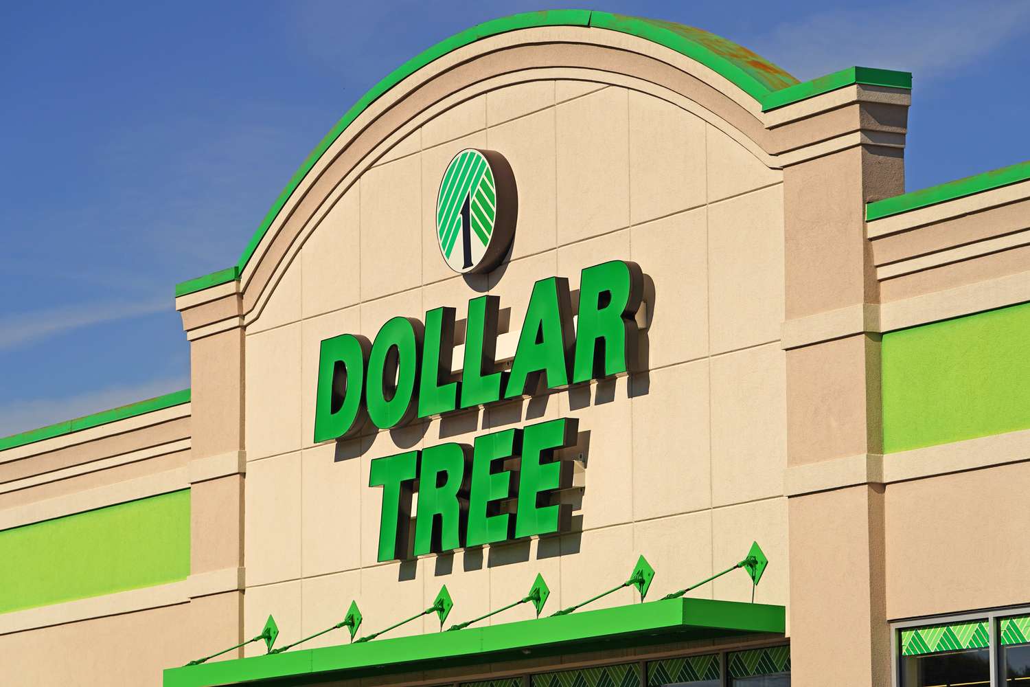 The facade of a Dollar Tree store with the logo and name prominently displayed