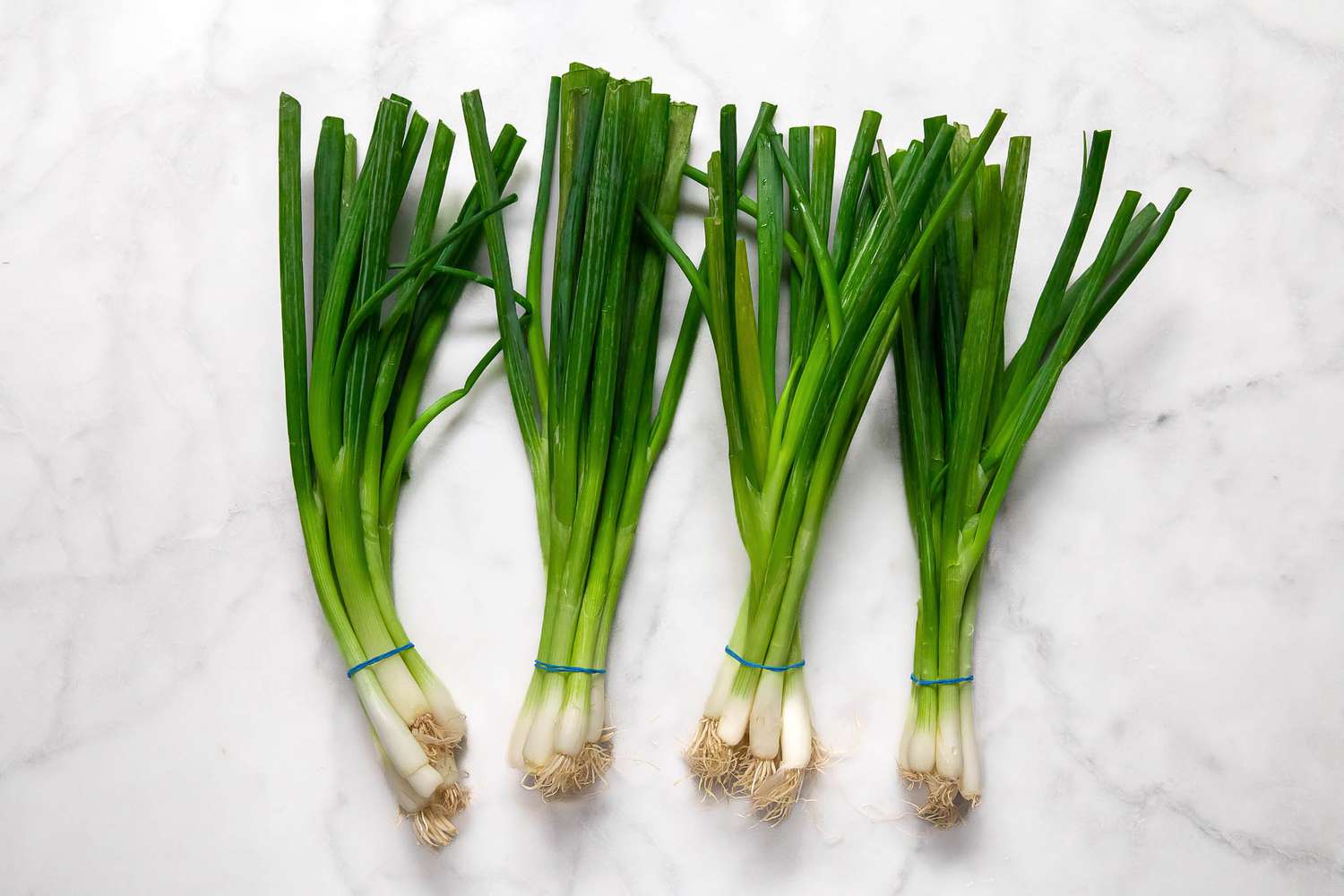 Bunches of green onions on a white marble countertop
