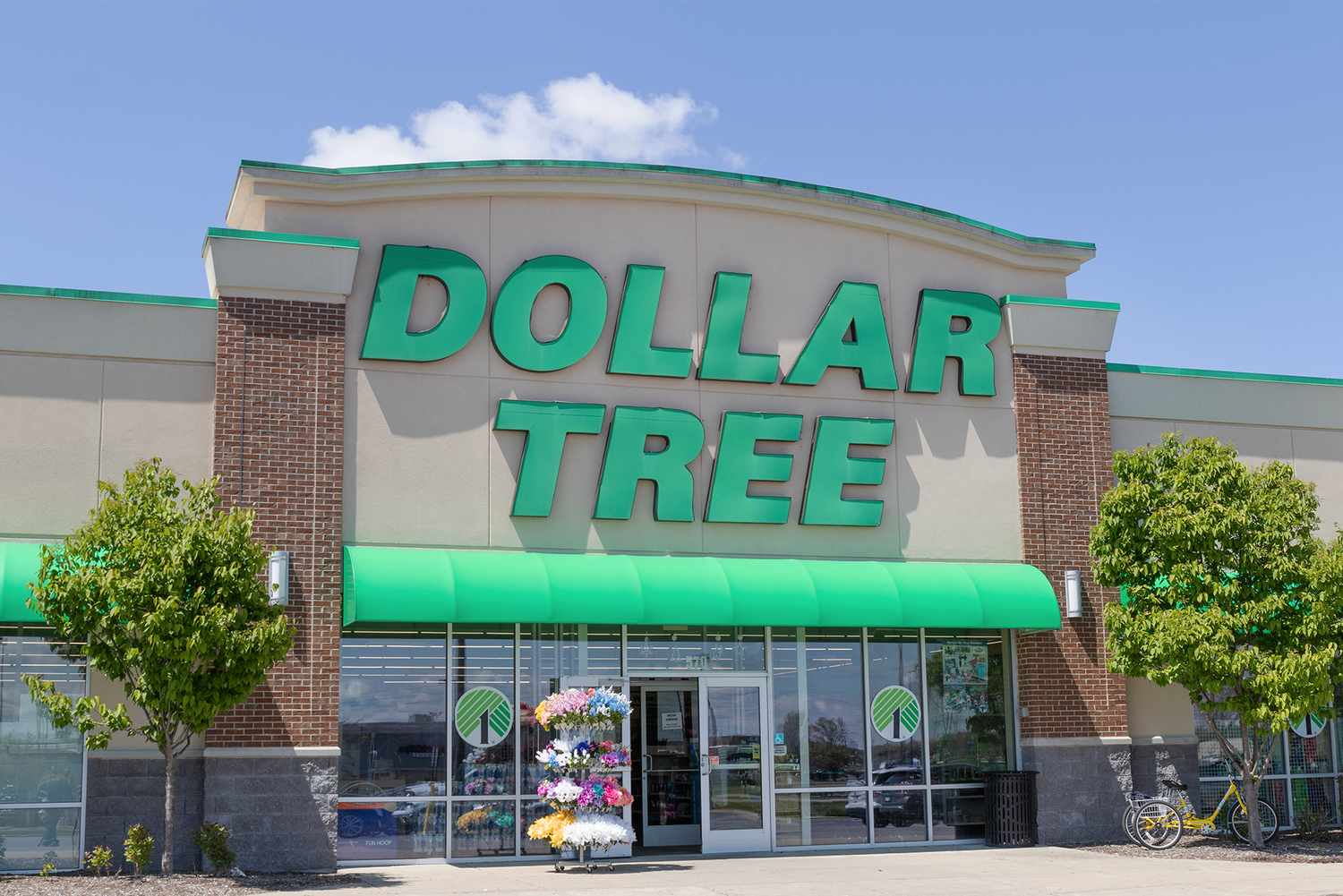 The storefront of a Dollar Tree store with green signage and a glass entrance