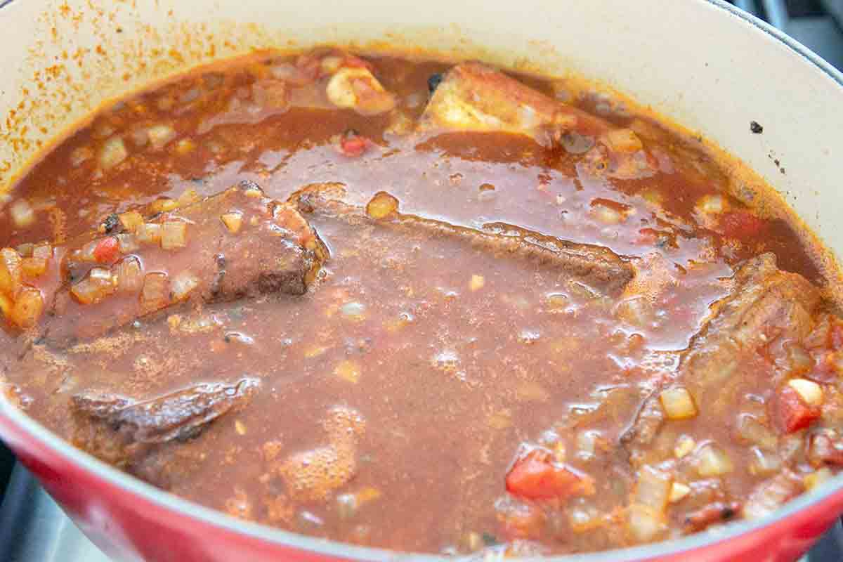 slow cooking short rib stew