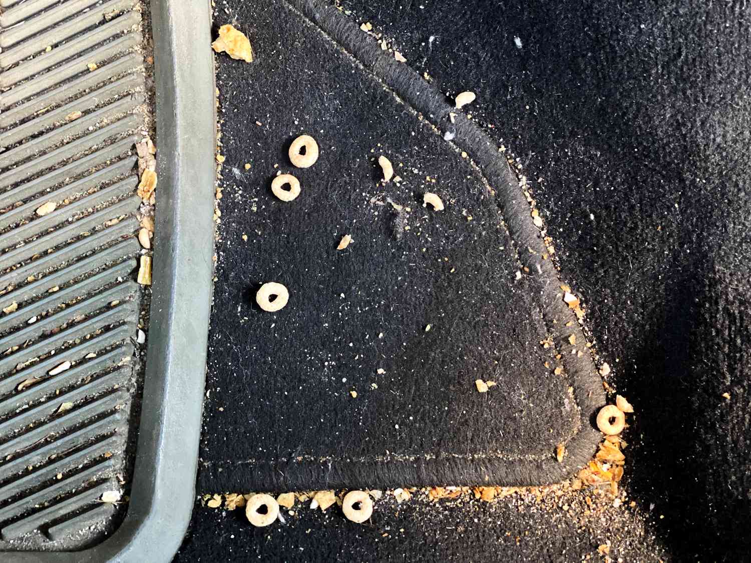 Crumbs in car