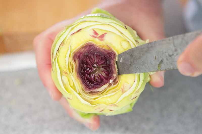 artichoke-soup-method-3