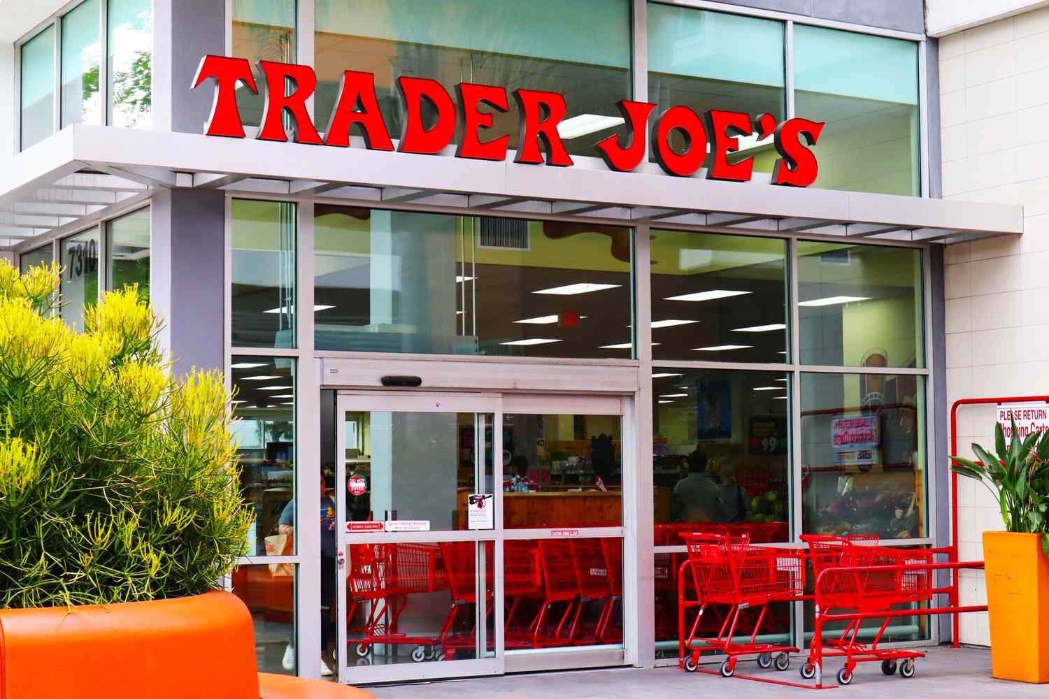 Entrance of a Trader Joes store with red shopping carts outside