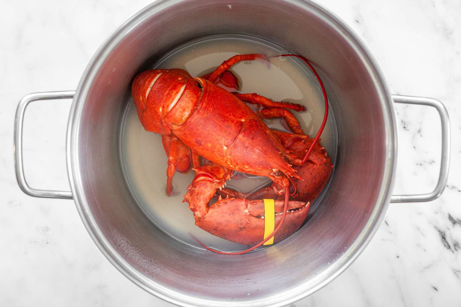 Steamed Lobster in a Pot for Lobster Bisque Recipe
