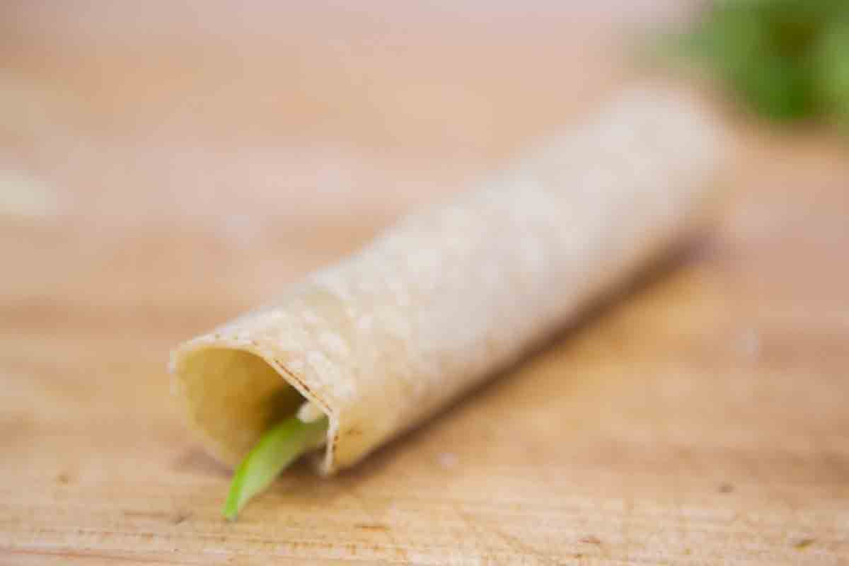 roll up green chile enchilada tortilla