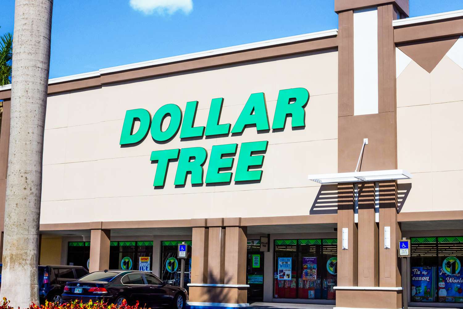 Exterior view of a Dollar Tree store