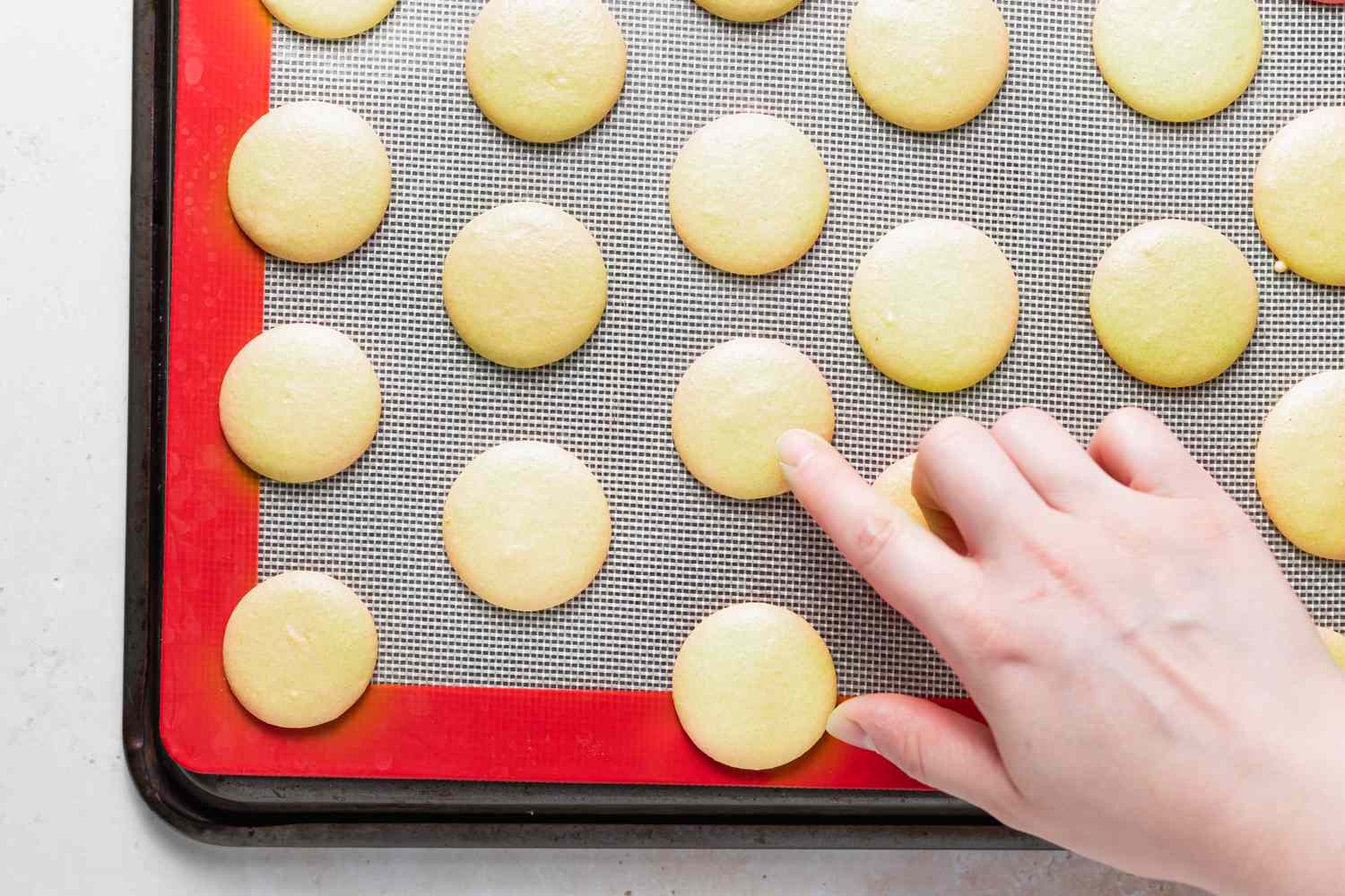 A finger touching the piped shell of a French macarons filled with lemon buttercream