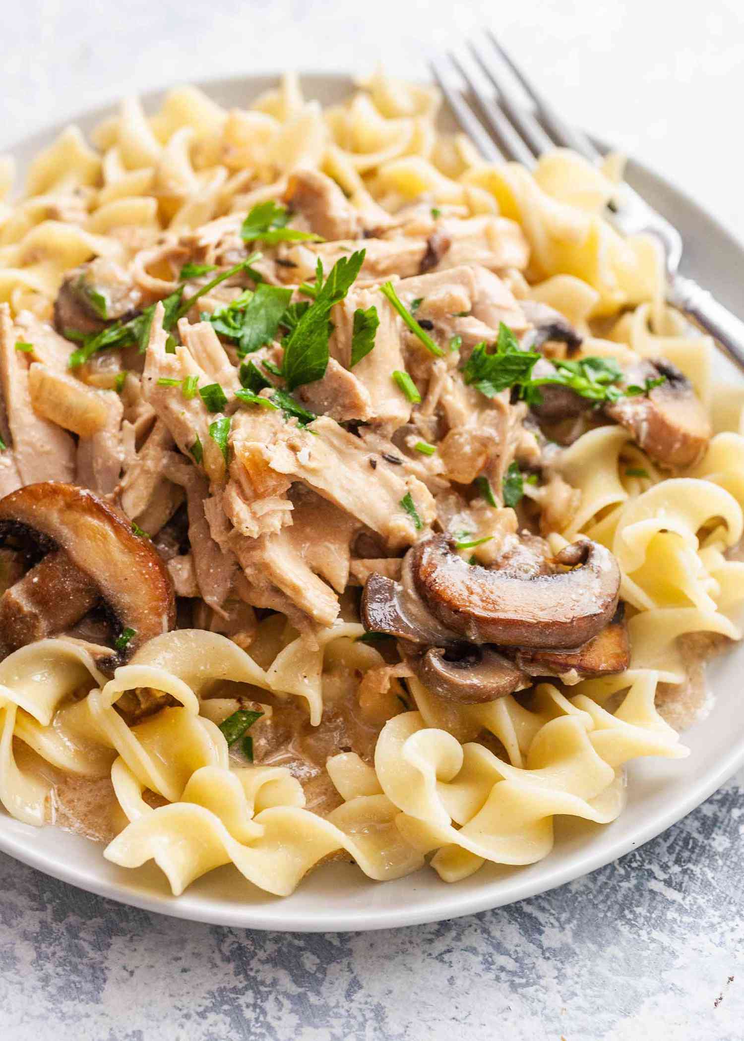 Stroganoff Recipe with Rotisserie Chicken