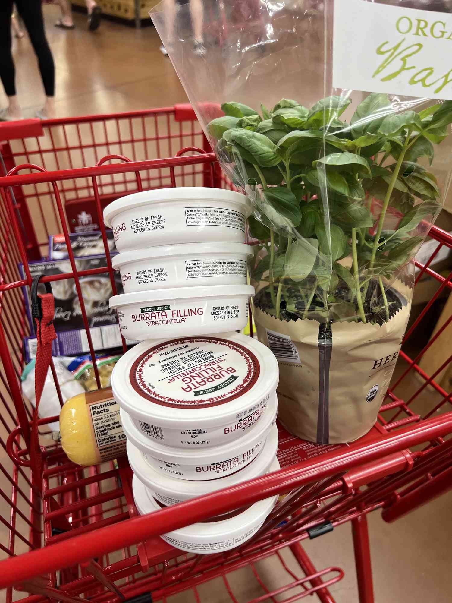 Trader Joe's Stracciatella in Author's cart