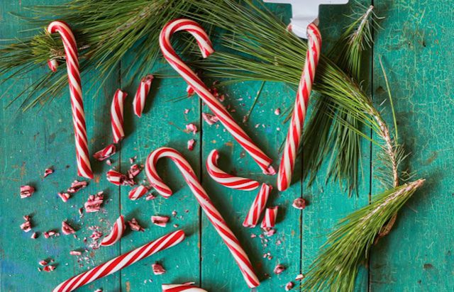 Trader Joe's Candy Cane