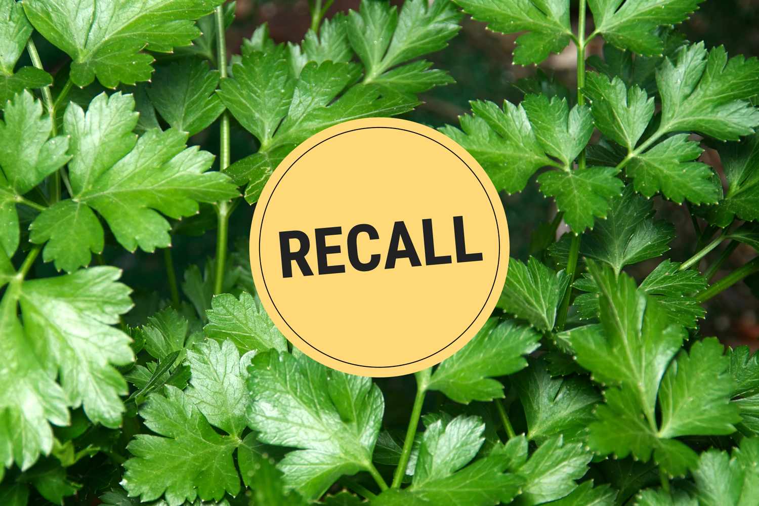 Italian parsley with a recall notice overlay