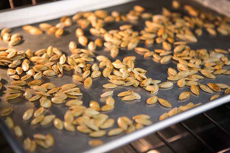 Roasted pumpkin seeds with salt on a baking sheet
