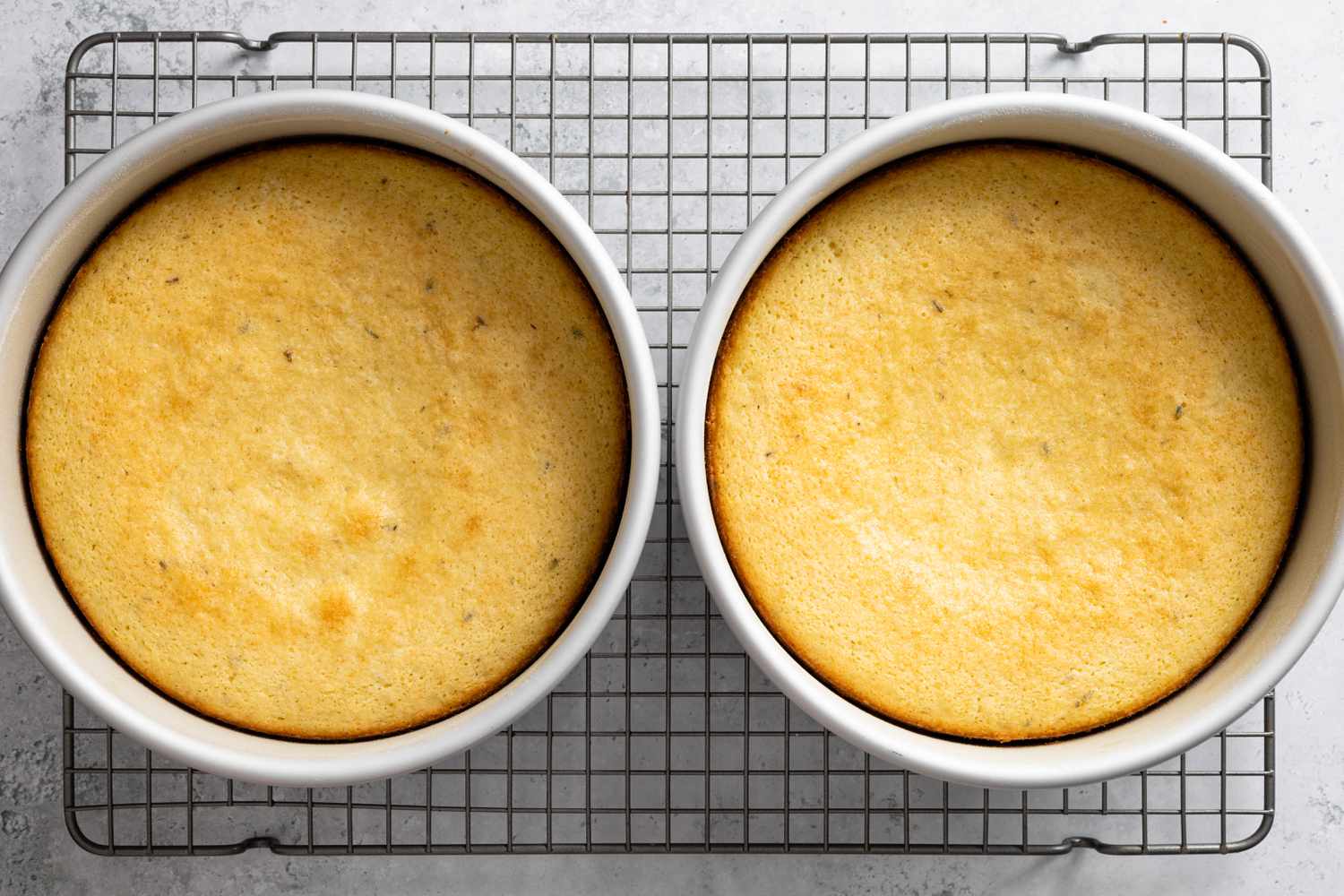 Lemon Lavender Cakes Baked and Cooling 