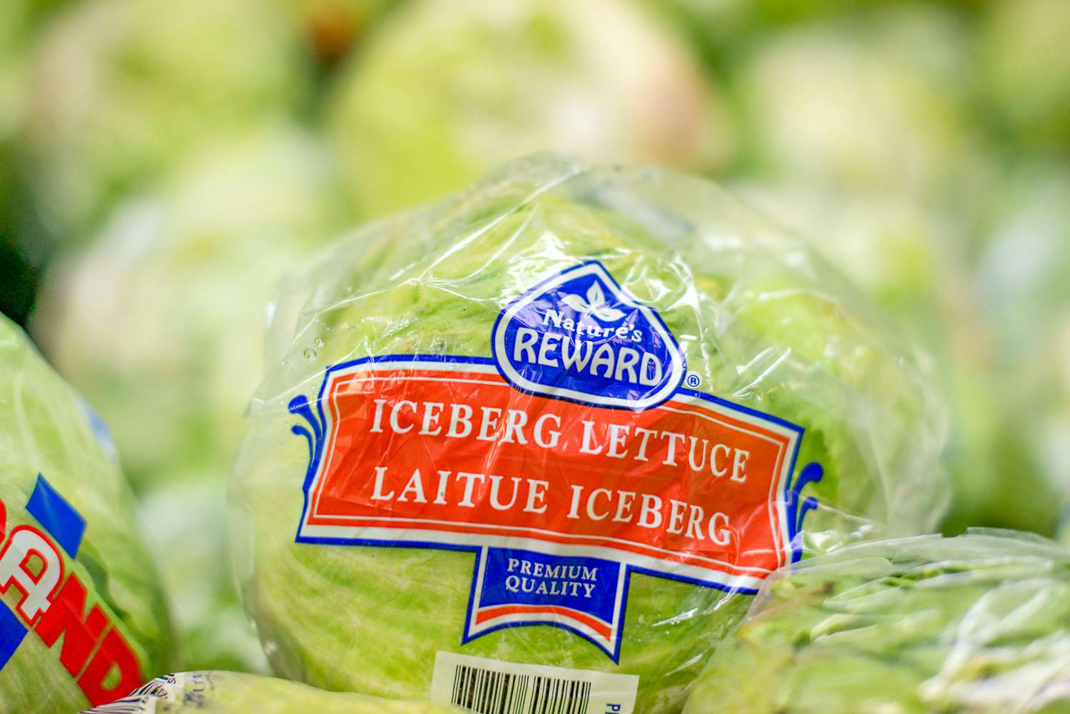 Head of iceberg lettuce in the original plastic wrapping 