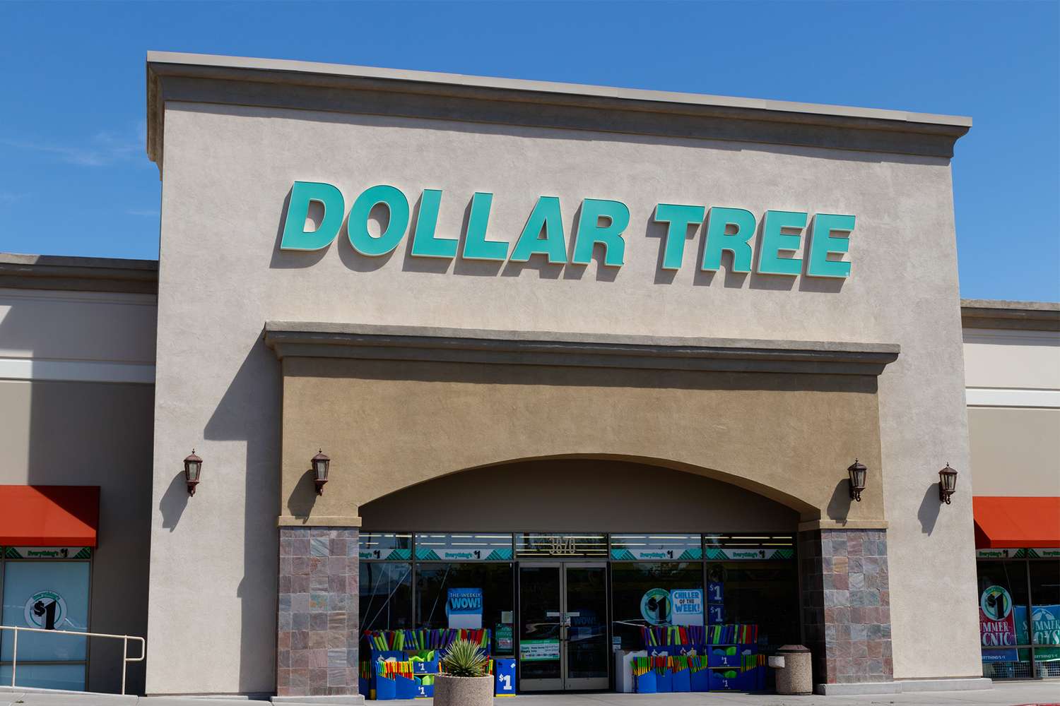 Exterior front view of a Dollar Tree store with its signage and entrance