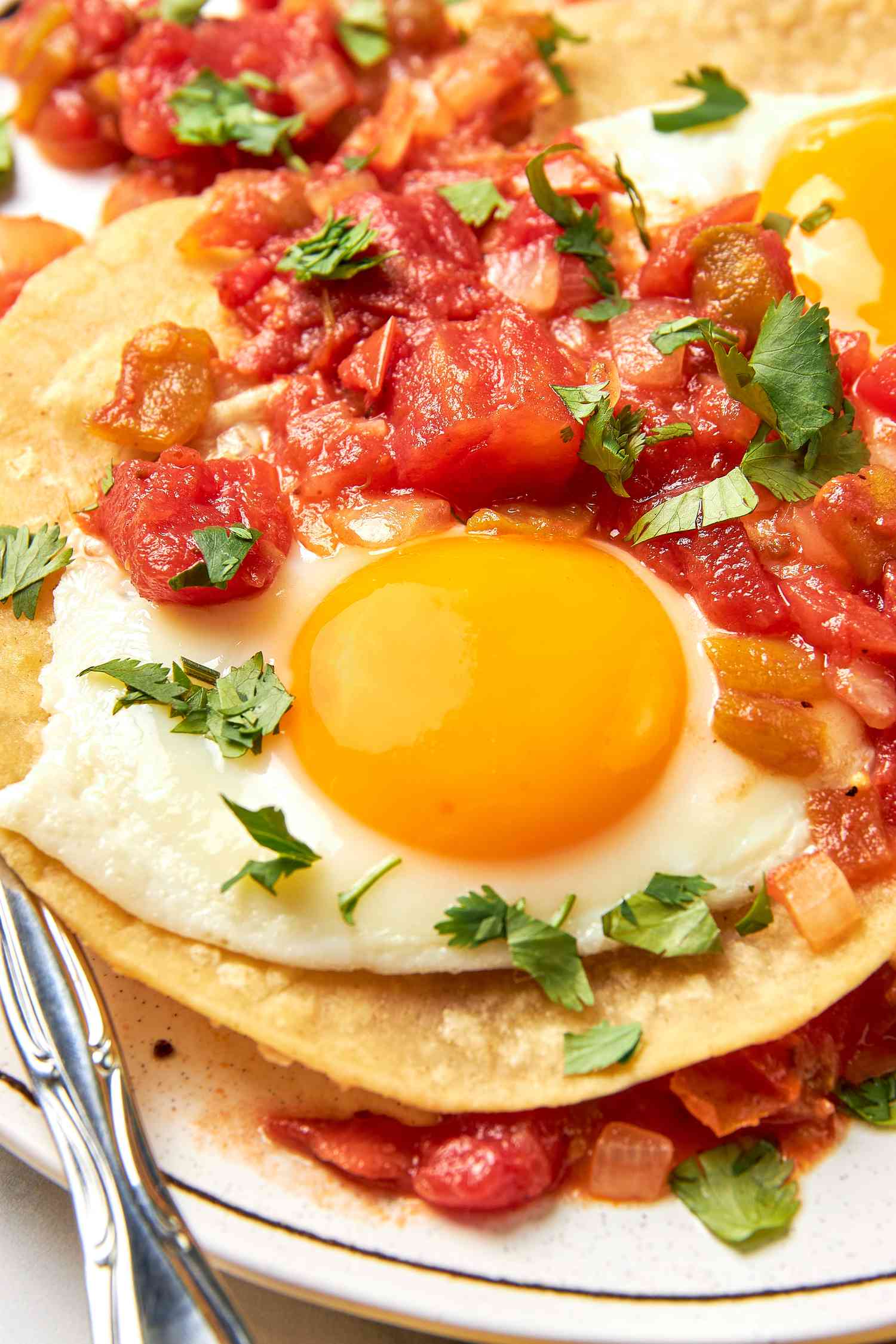 Close-up: Huevos Rancheros and Chopped Cilantro