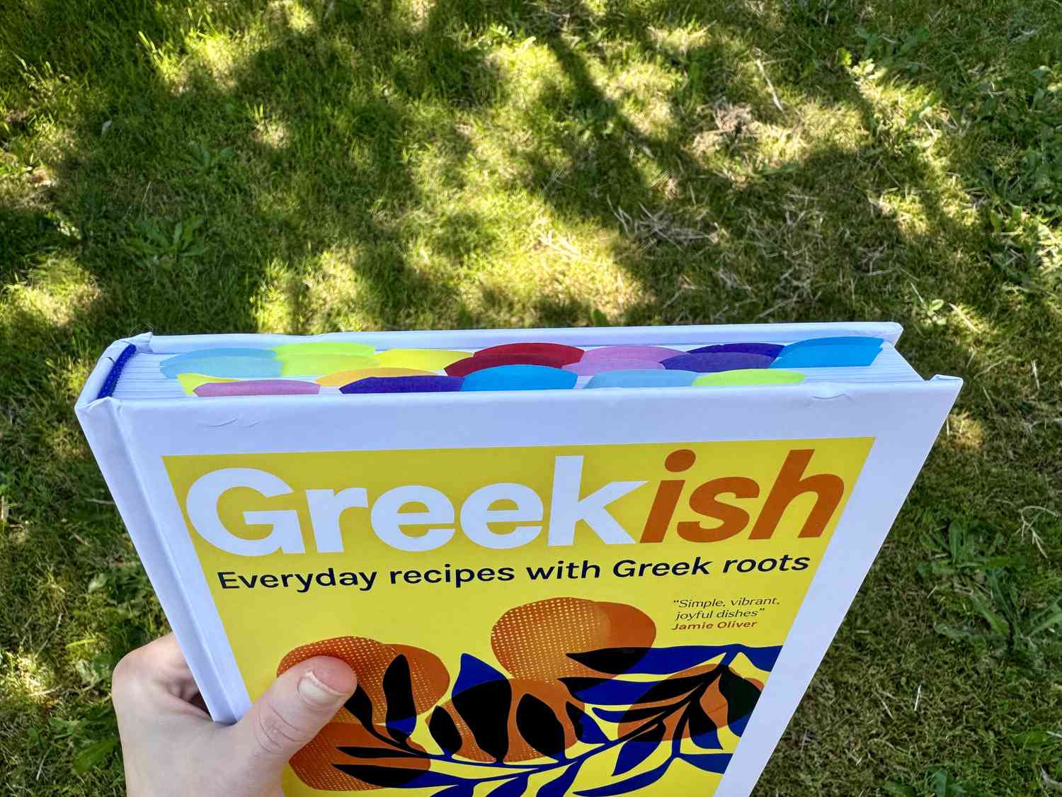 A hand holding a copy of "Greekish" showing multi-colored flags marking favorite recipes