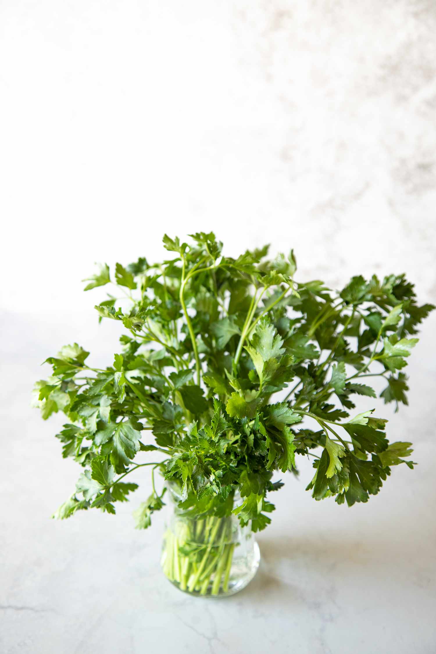 Parsley in a Cup of Water