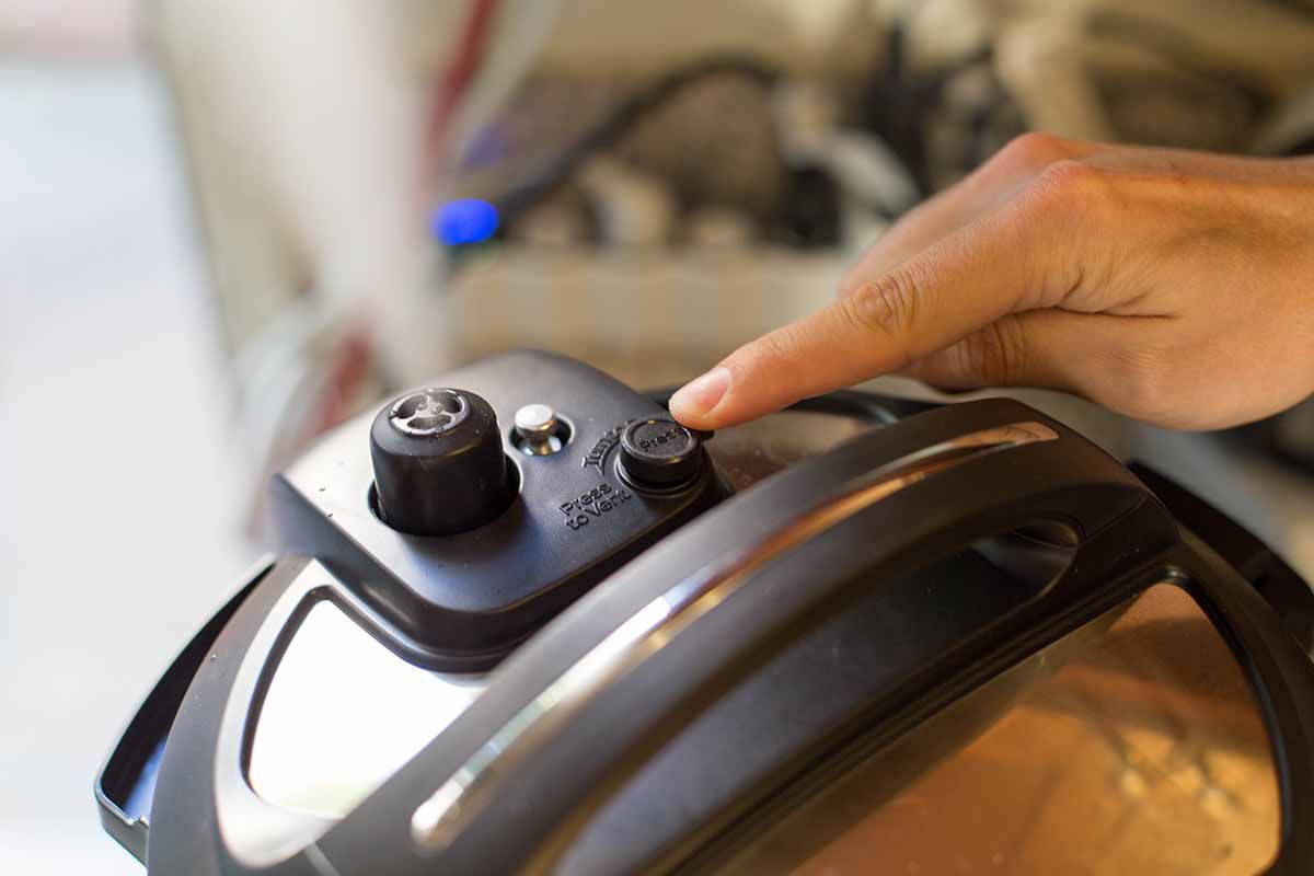 Pressure Cooker Mexican Pulled Pork