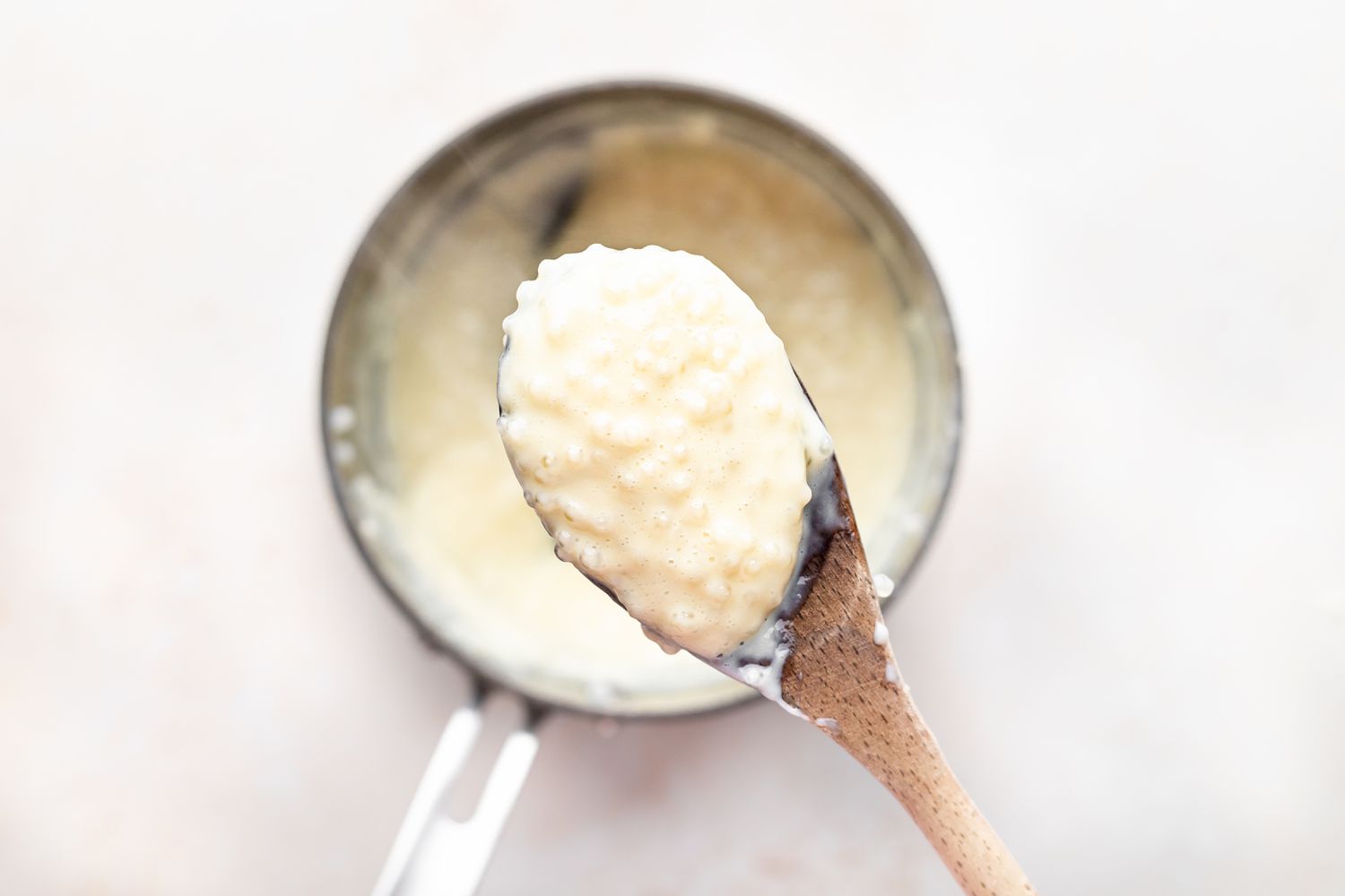 A wooden spoon with pudding on it to show what is tapioca.
