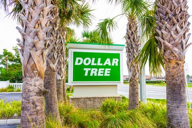 Stand-alone Dollar Tree sign surrounded buy palm trees