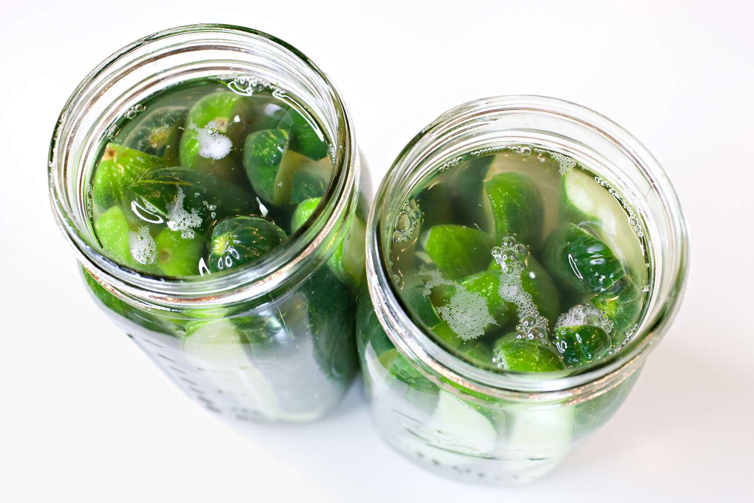 Aerial View: Jars of Fermented Pickles (Brine Looking Cloudy and Cucumbers Looking Less Green)