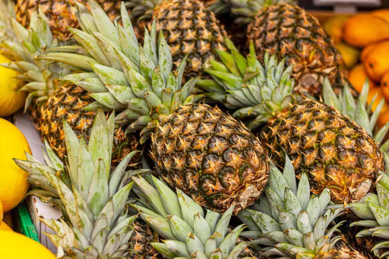 Several pineapples displayed in a market setting, surrounded by other fruits