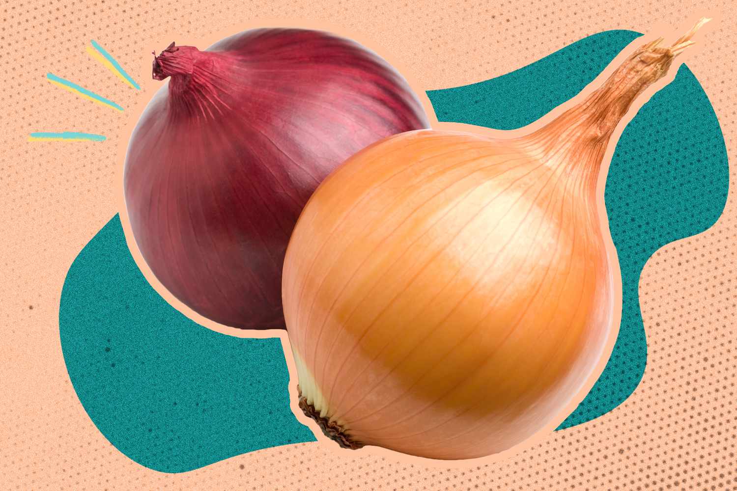 Red onion and yellow onion over a blue and peach color block background