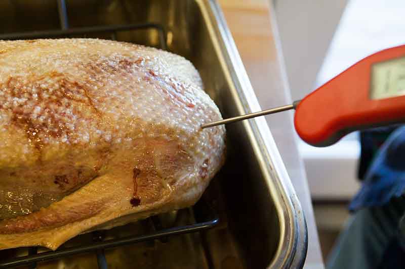 roast-goose-method-18