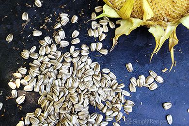 A scattering of sunflower seeds