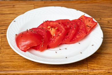 Sliced tomatoes on a plate with small gnats on the surface