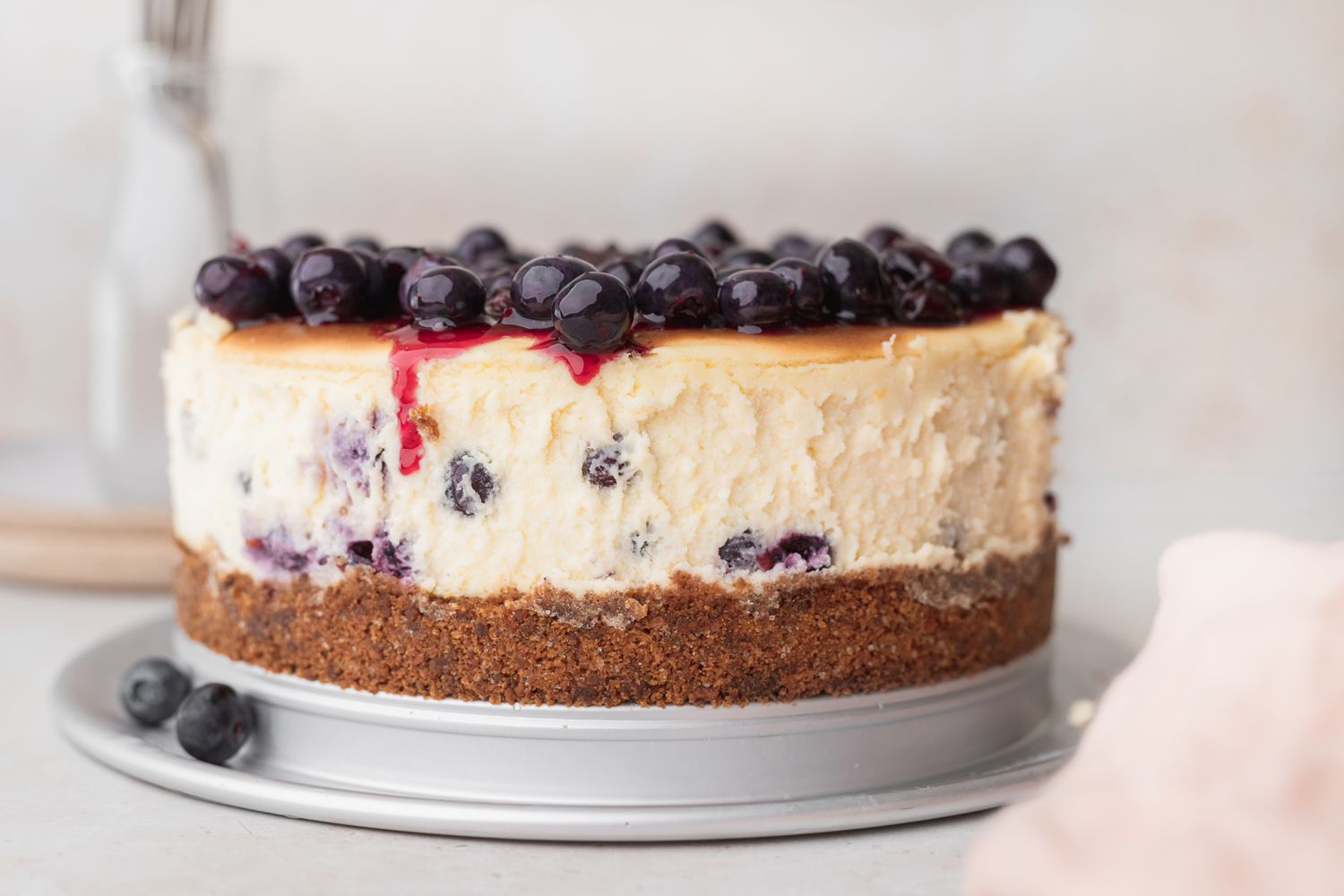 Whole blueberry cheesecake on pan.