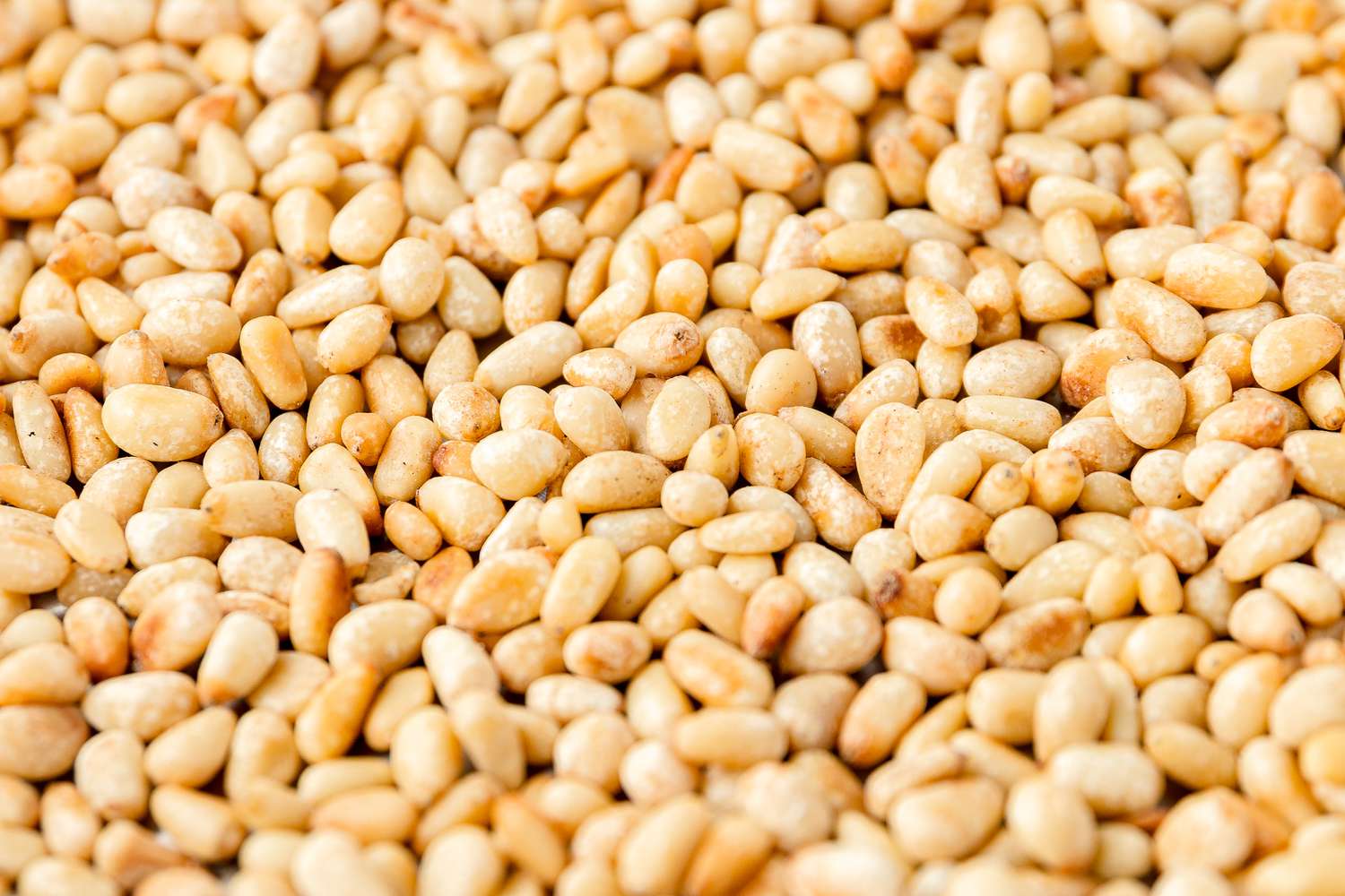 Toasted Pine Nuts