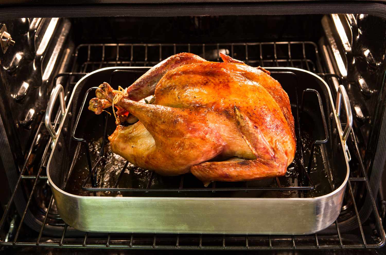 A roasted turkey in a pan inside an oven