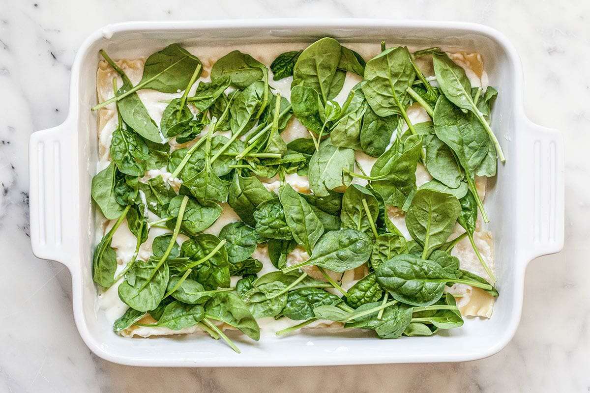 Vegetarian Lasagna Recipe add the spinach