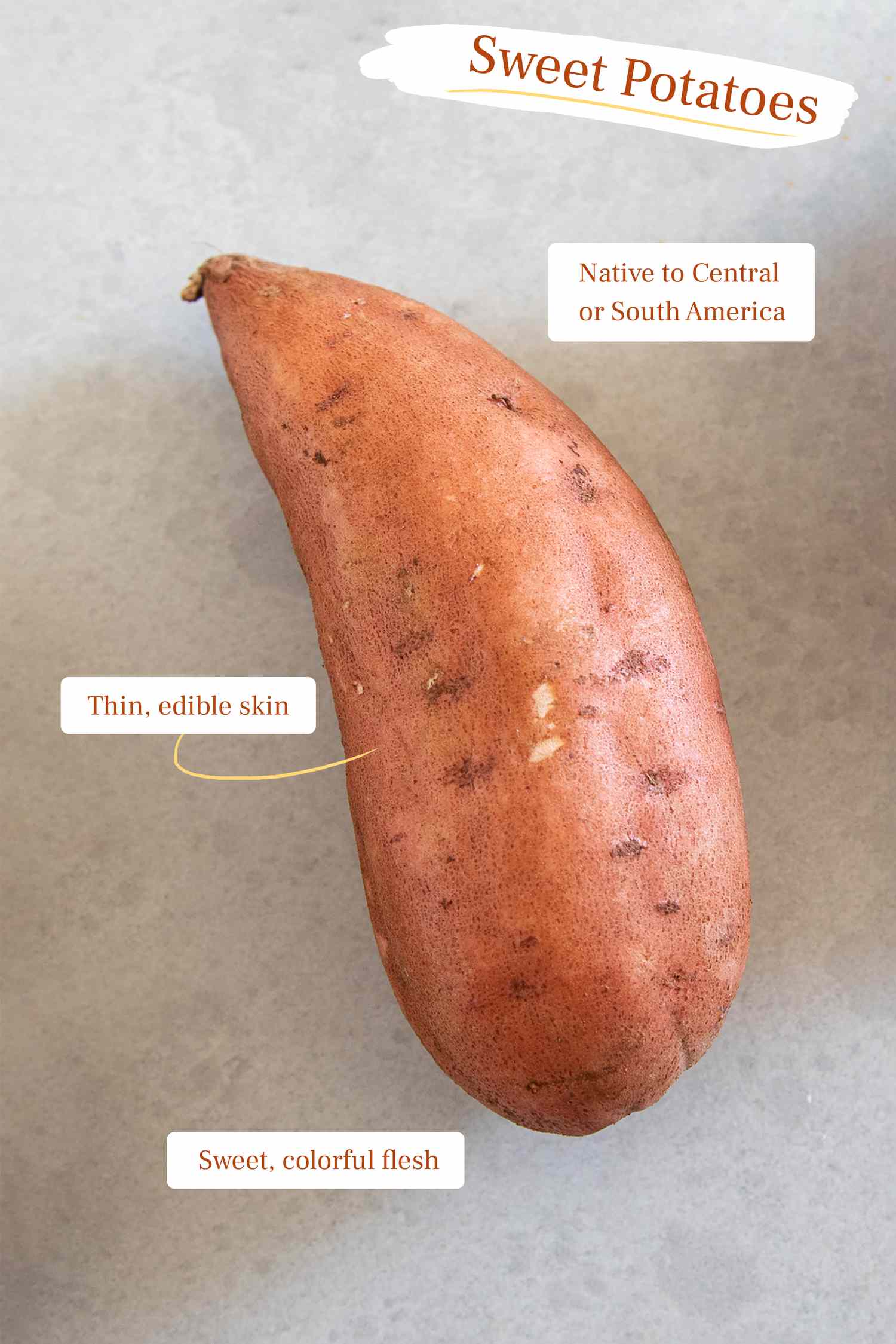 Sweet potato facts