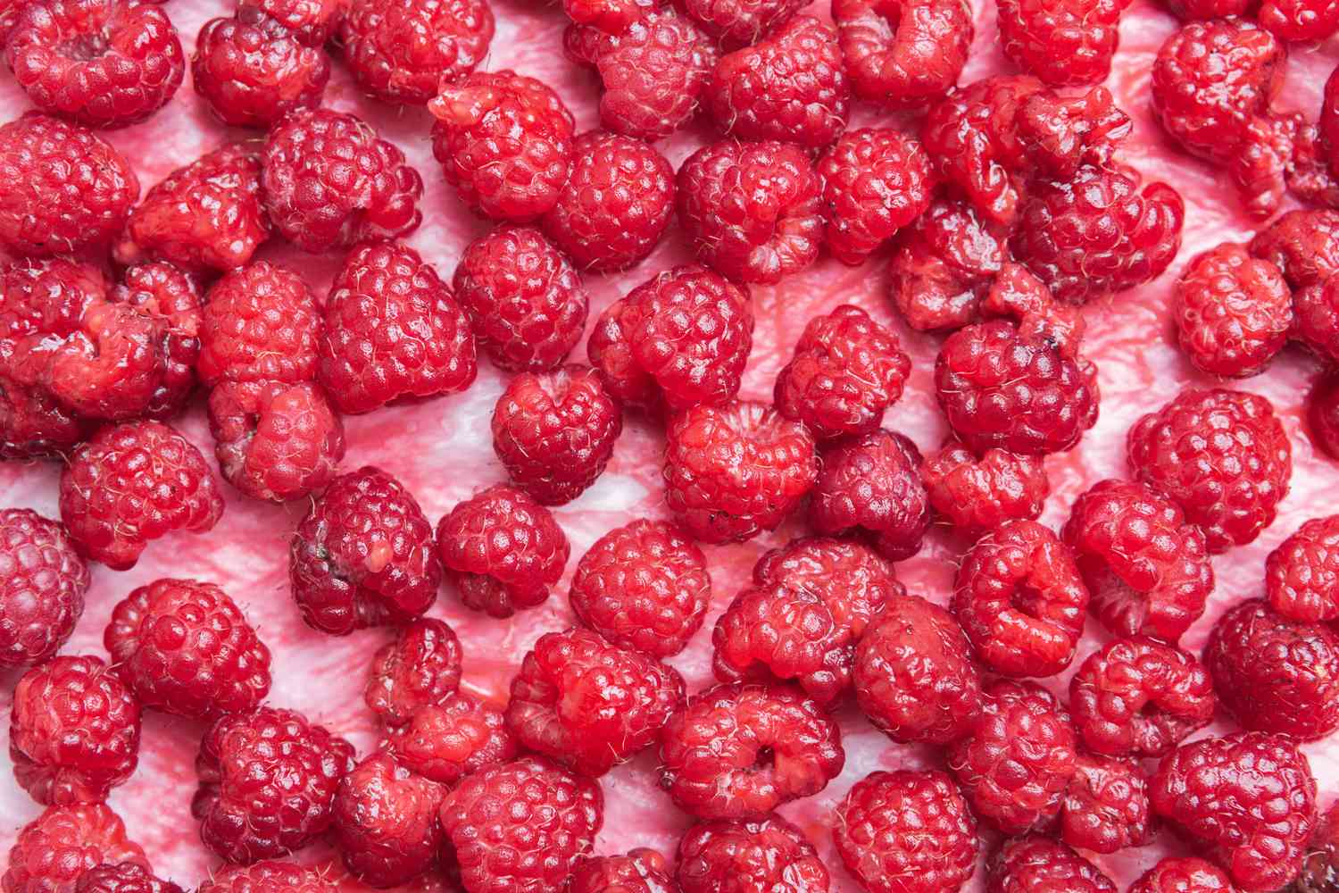 Fresh Raspberries Laying on a Paper Towel