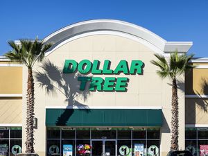 Front entrance of a Dollar Tree store flanked by palm trees