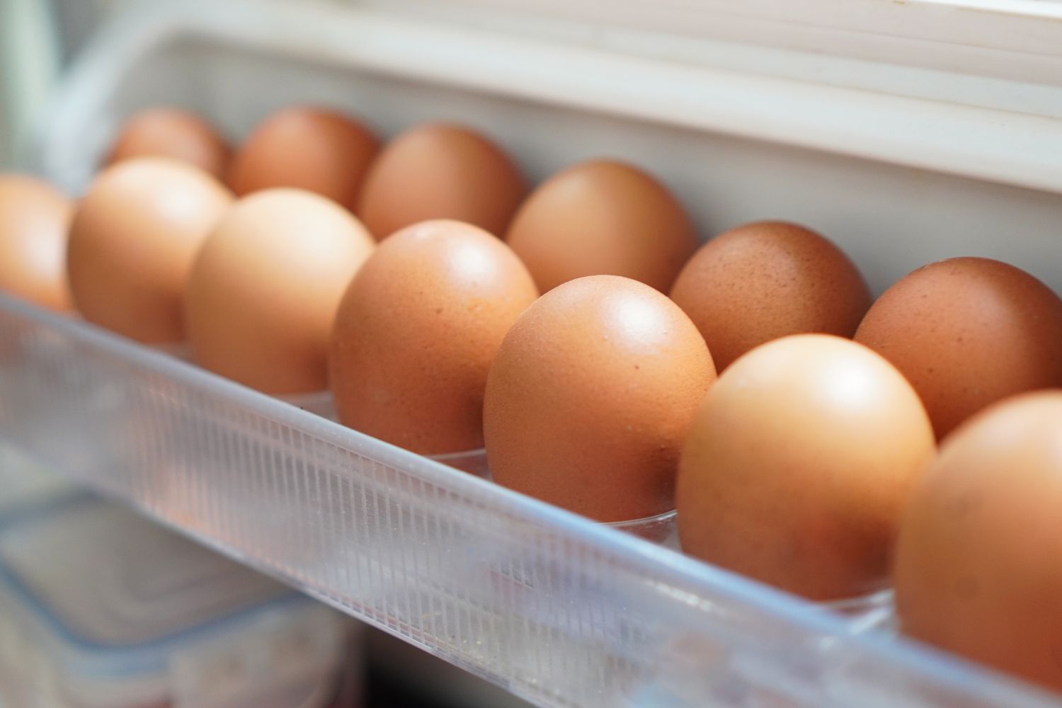 Eggs in the refrigerator panel