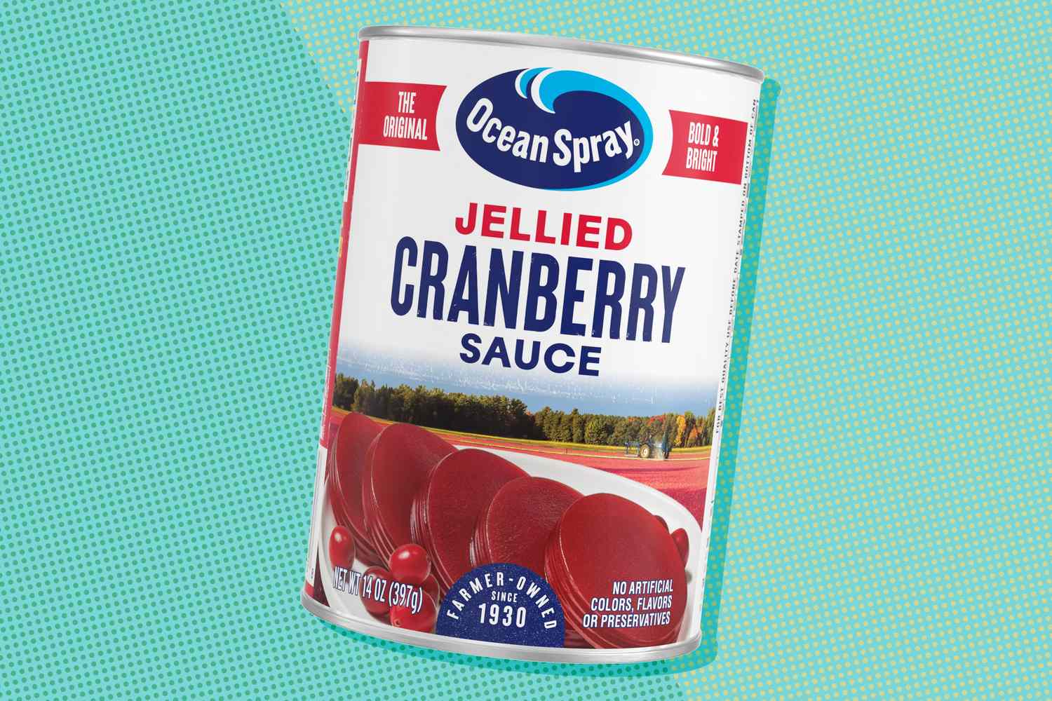 A can of Ocean Spray jellied cranberry sauce on a teal background