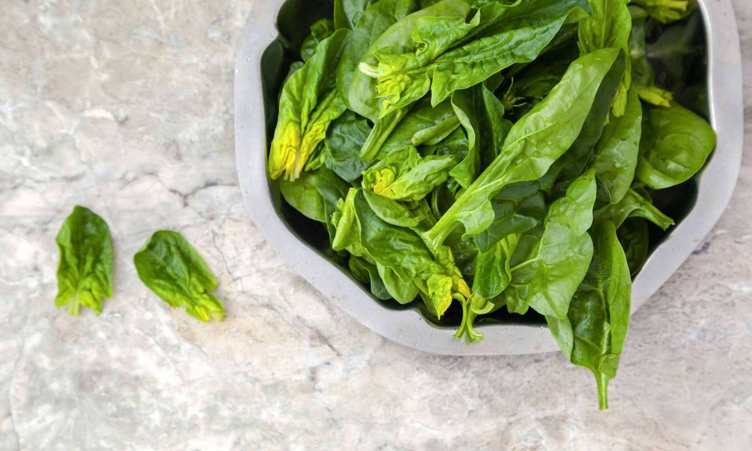 Fresh spinach in gray bowl