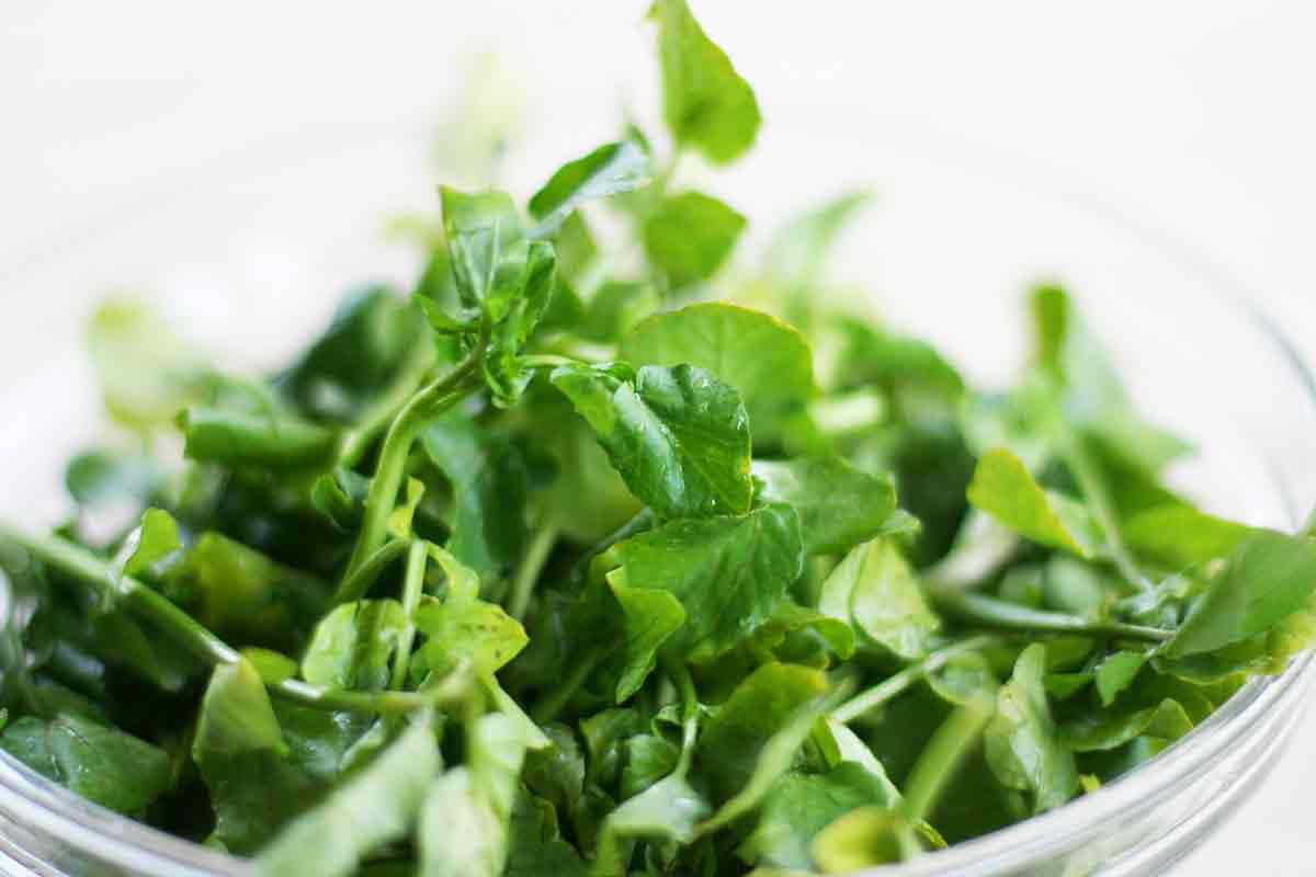 fresh watercress for watercress salad
