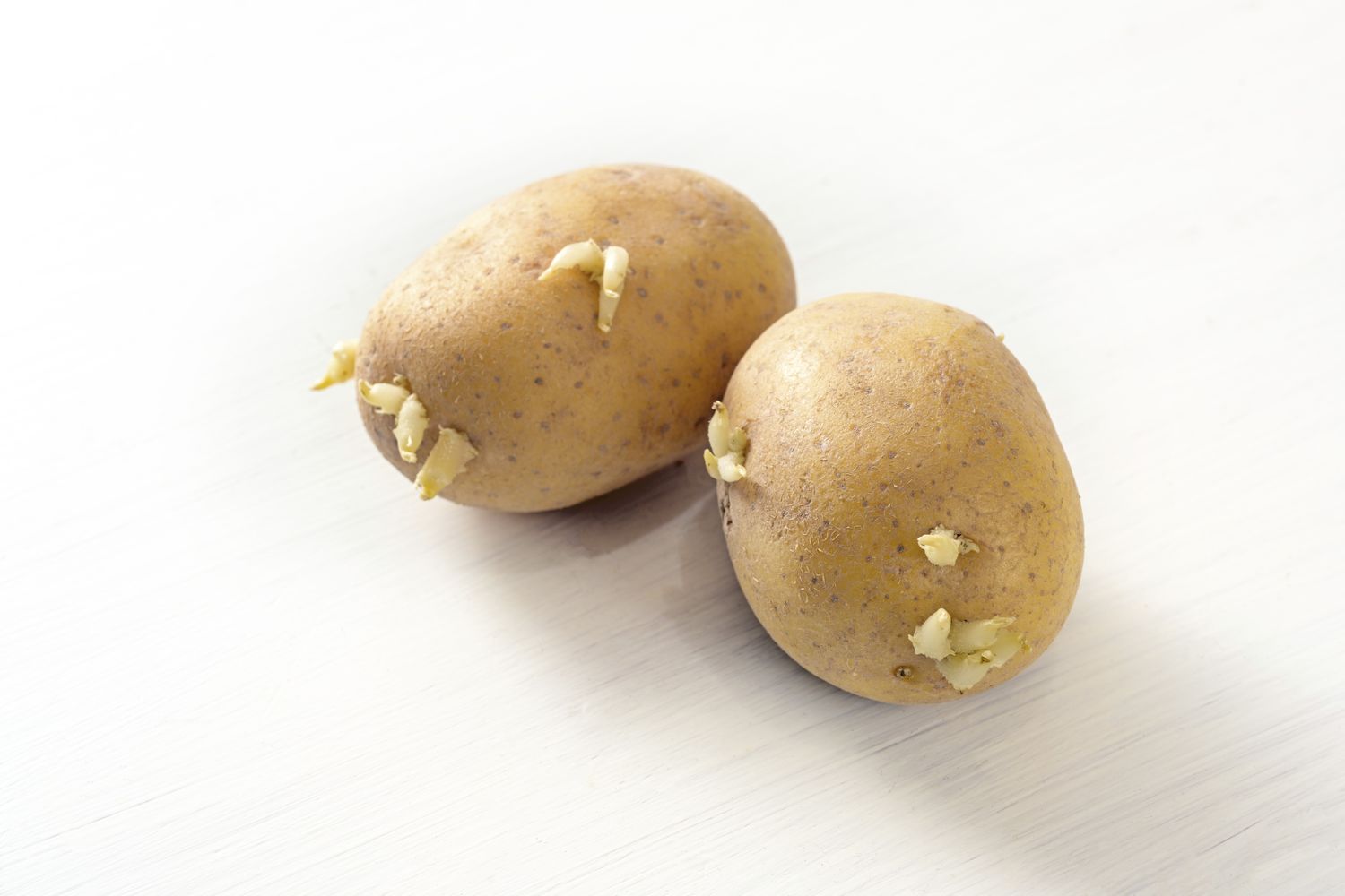 Two whole potatoes with sprouts on a white surface