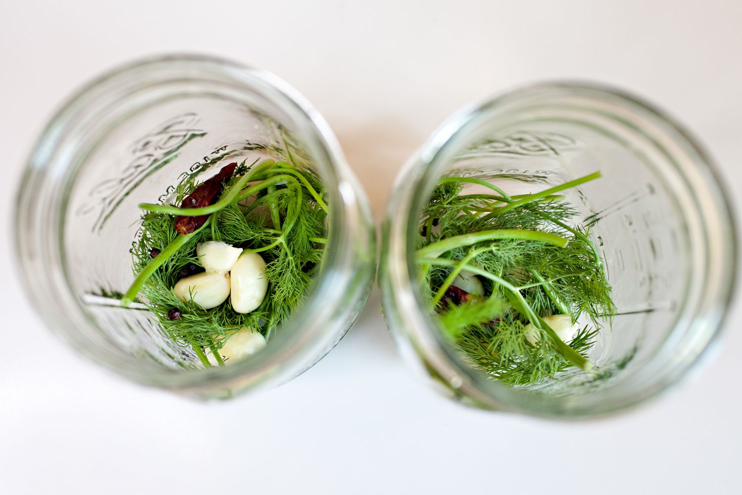 Aerial View: Garlic Cloves, Black Peppercorn, and Fresh Dill Added to Mason Jars for Fermented Pickle Recipe