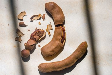 Tamarind