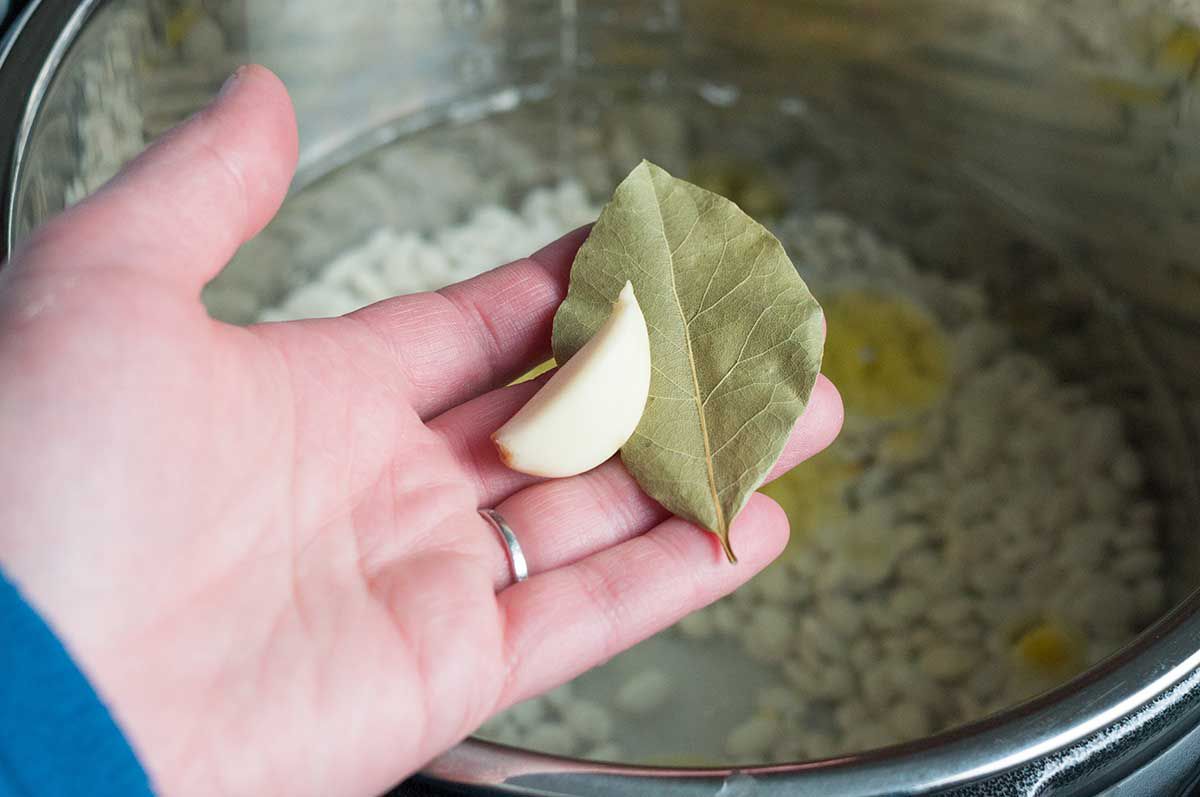 How To Make Fast, No-Soak Beans in the Pressure Cooker