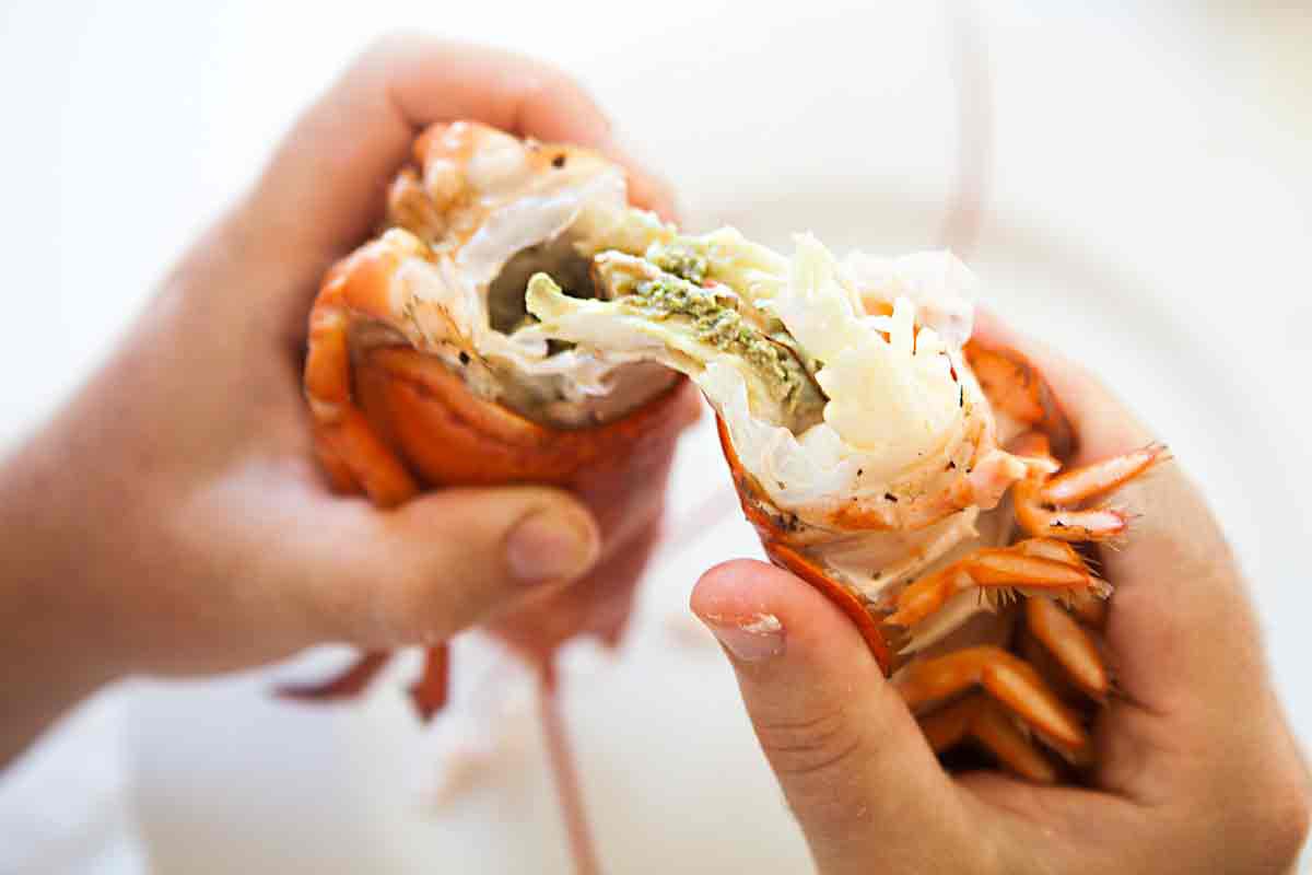 Pull back and twist to remove the tail from the body